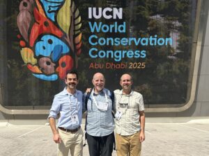 CLLC Team at the WCC in Abu Dhabi