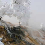 Mammoth Hot Springs in the winter