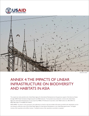 LISA Project Annex 4: Literature Review