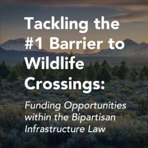 Tackling the #1 Barrier to Wildlife Crossings
