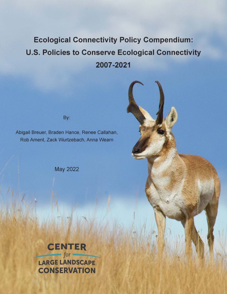 Cover Policy Compendium Final
