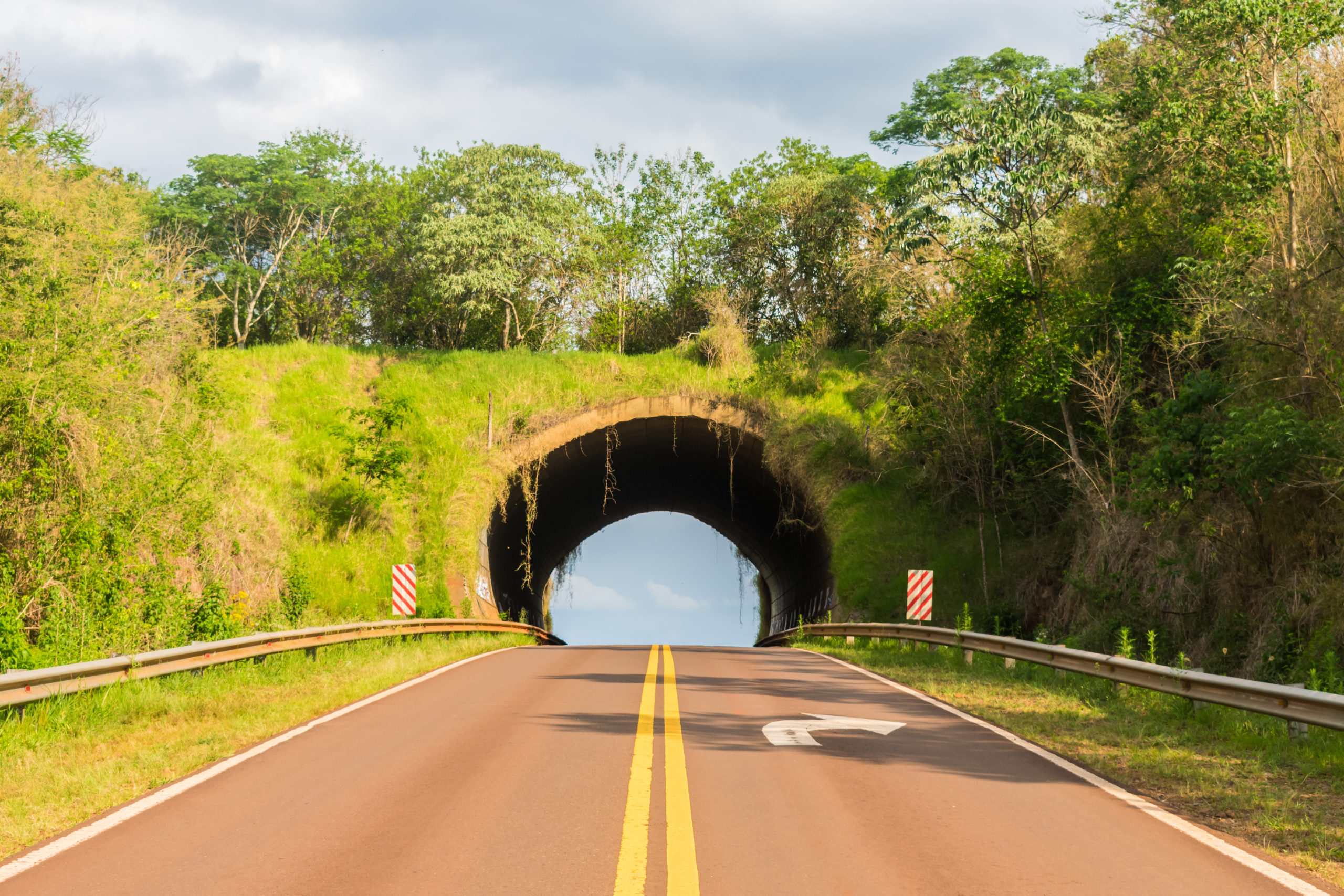 The Road To Recovery How Wildlife Corridors Are Smart Economic 