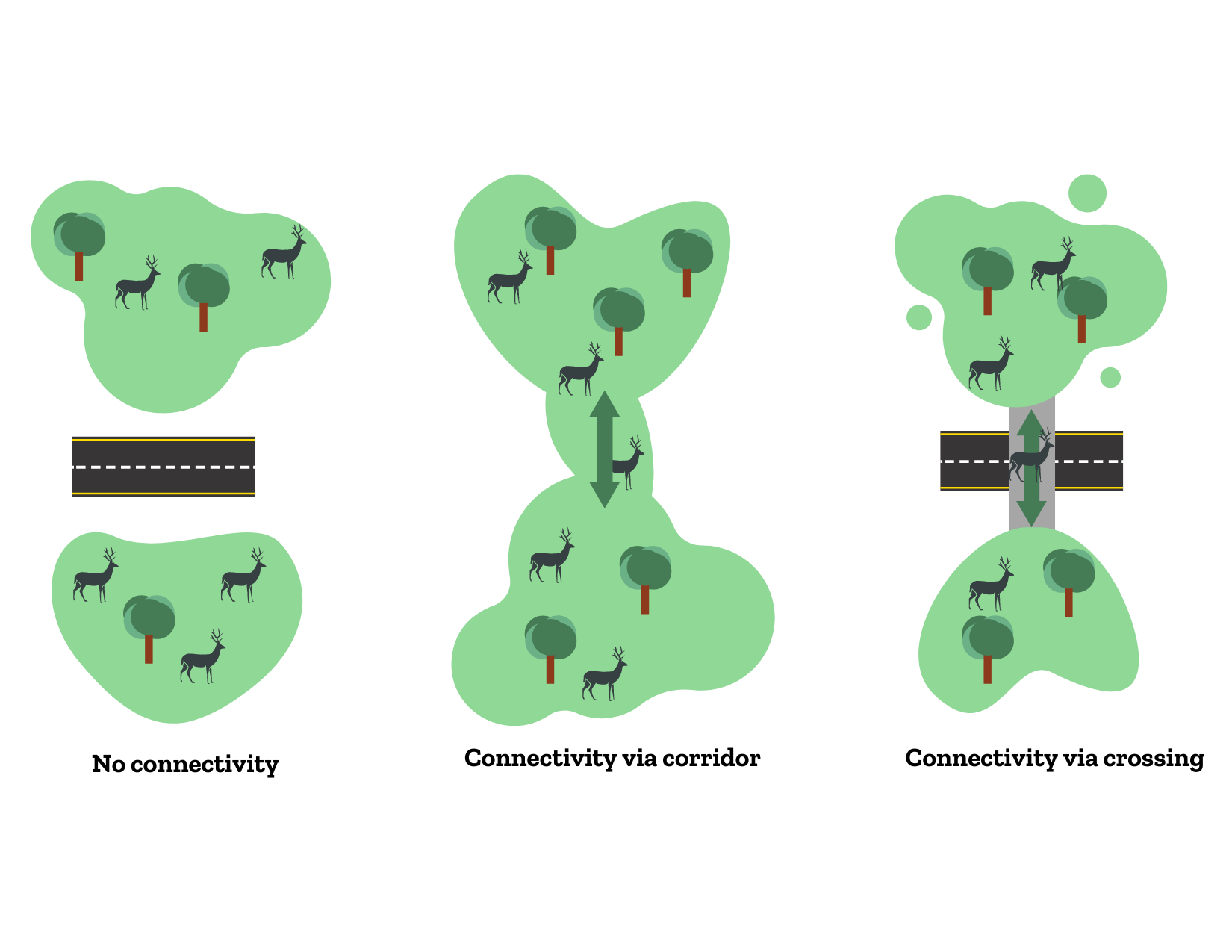 Corridors vs. Crossings: What's the Difference? - Center for Large