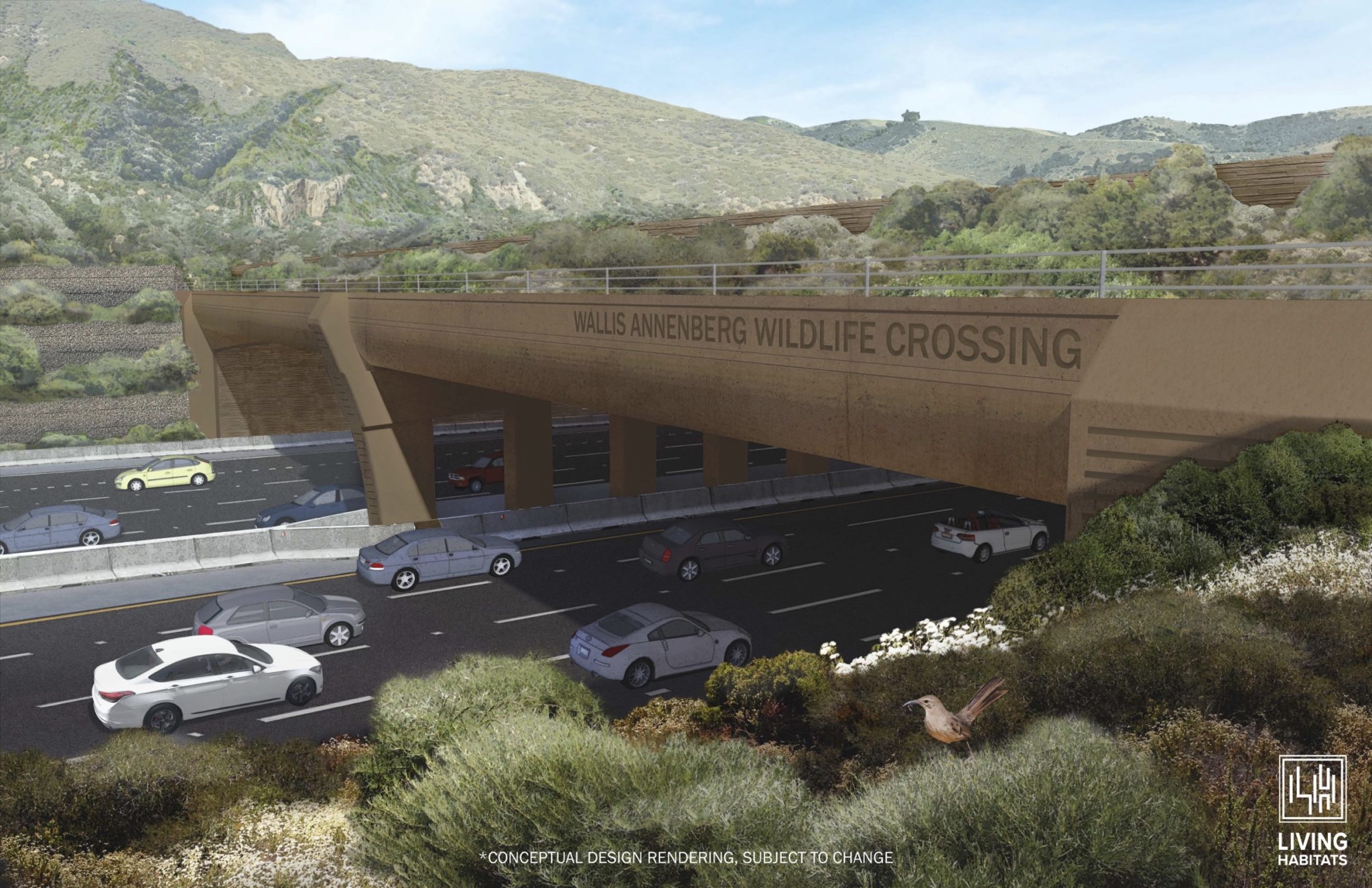 slew-of-states-pass-legislation-this-year-to-build-wildlife-crossings