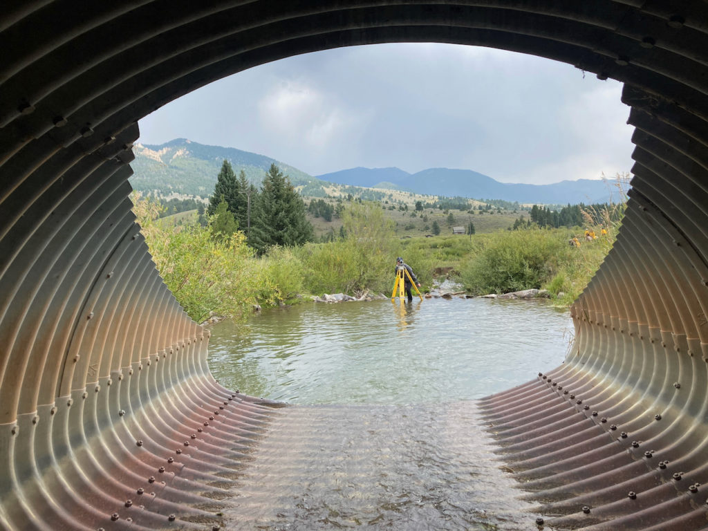 Slew of States Pass Legislation This Year to Build Wildlife Crossings ...