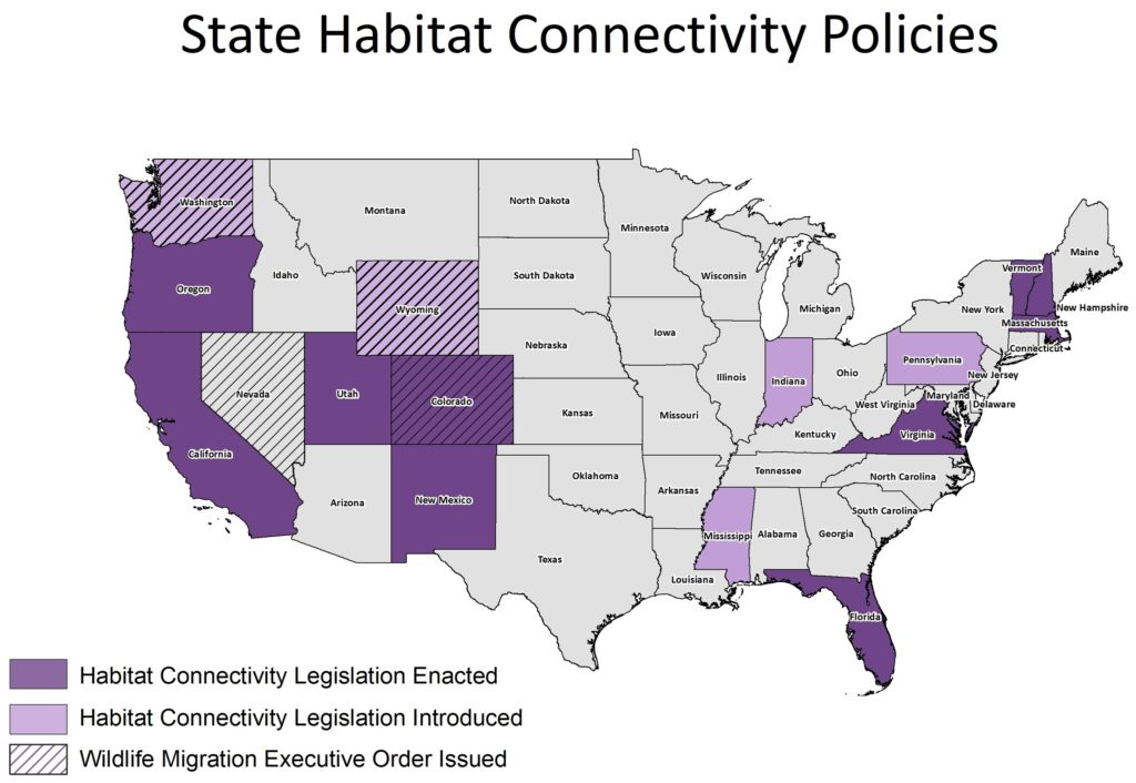 State Habitat Connectivity Map 8.24.22