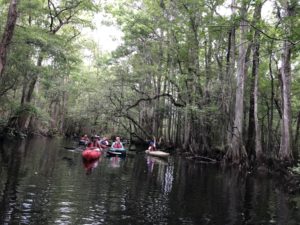 Expedition Kayaking the Black River
