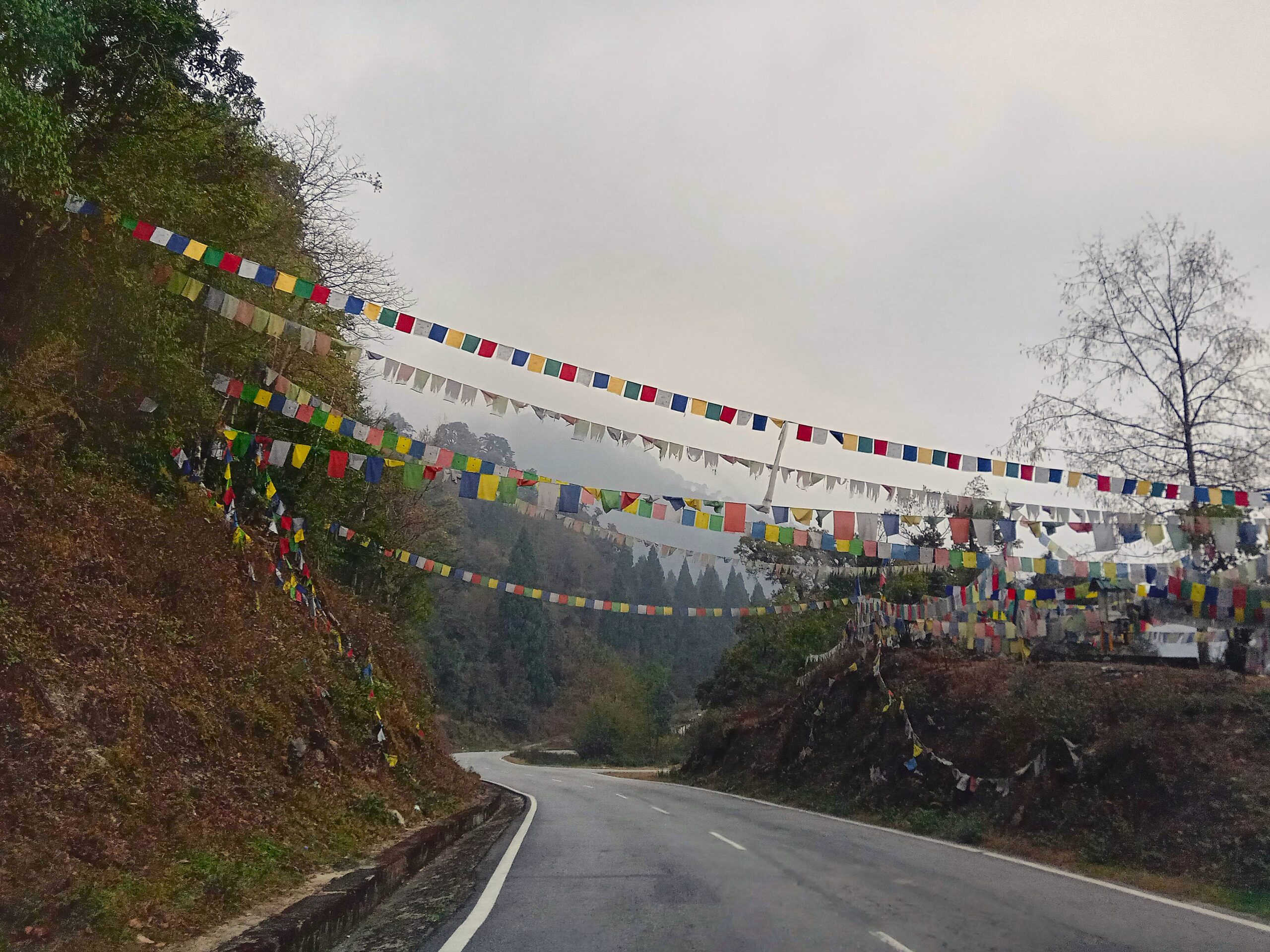 Bhutan is fostering the discussion about wildlife-friendly roads as the country foresees major infrastructure development in the upcoming years. Credit: CLLC/Fernanda Teixeira