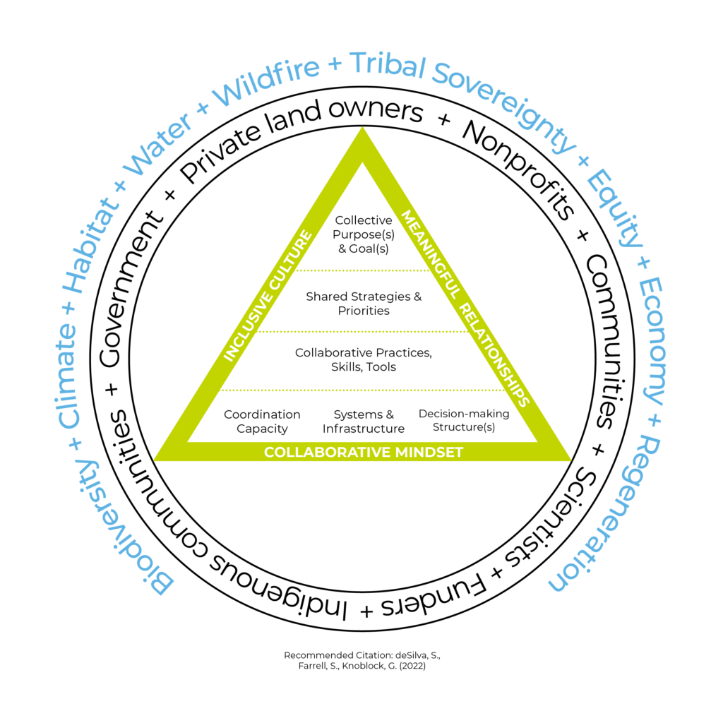 Collaborative capacity diagram