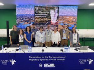 CMS COP15 Brazil - Presenters at the Side Event “Nature Positive Infrastructure – Avoiding and mitigating impacts of linear infrastructure on migratory species and ecological connectivity” (see list below). CLLC photo, 2026