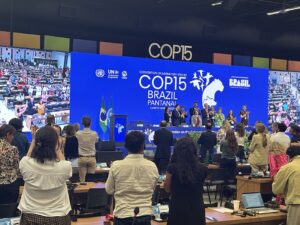 Closing Of CMS/CoP-15 and standing ovation For outgoing CMS Executive Secretary Amy Fraenkel. CLLC photo.