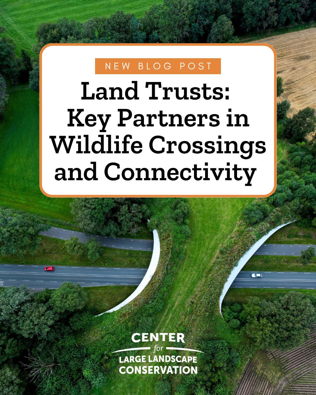 Most people are familiar with land trusts as community-based organizations that work to permanently protect natural, scenic, historic, or agricultural land, often in partnership with private landowners. However, land trusts across the U.S. also play a key role in advancing wildlife corridors and crossing structures. Follow the link in our bio to learn more about the work land trusts are doing to help plan wildlife crossings and enhance habitat connectivity. #landtrusts #wildlifecrossings #roadecology #ecologicalconnectivity