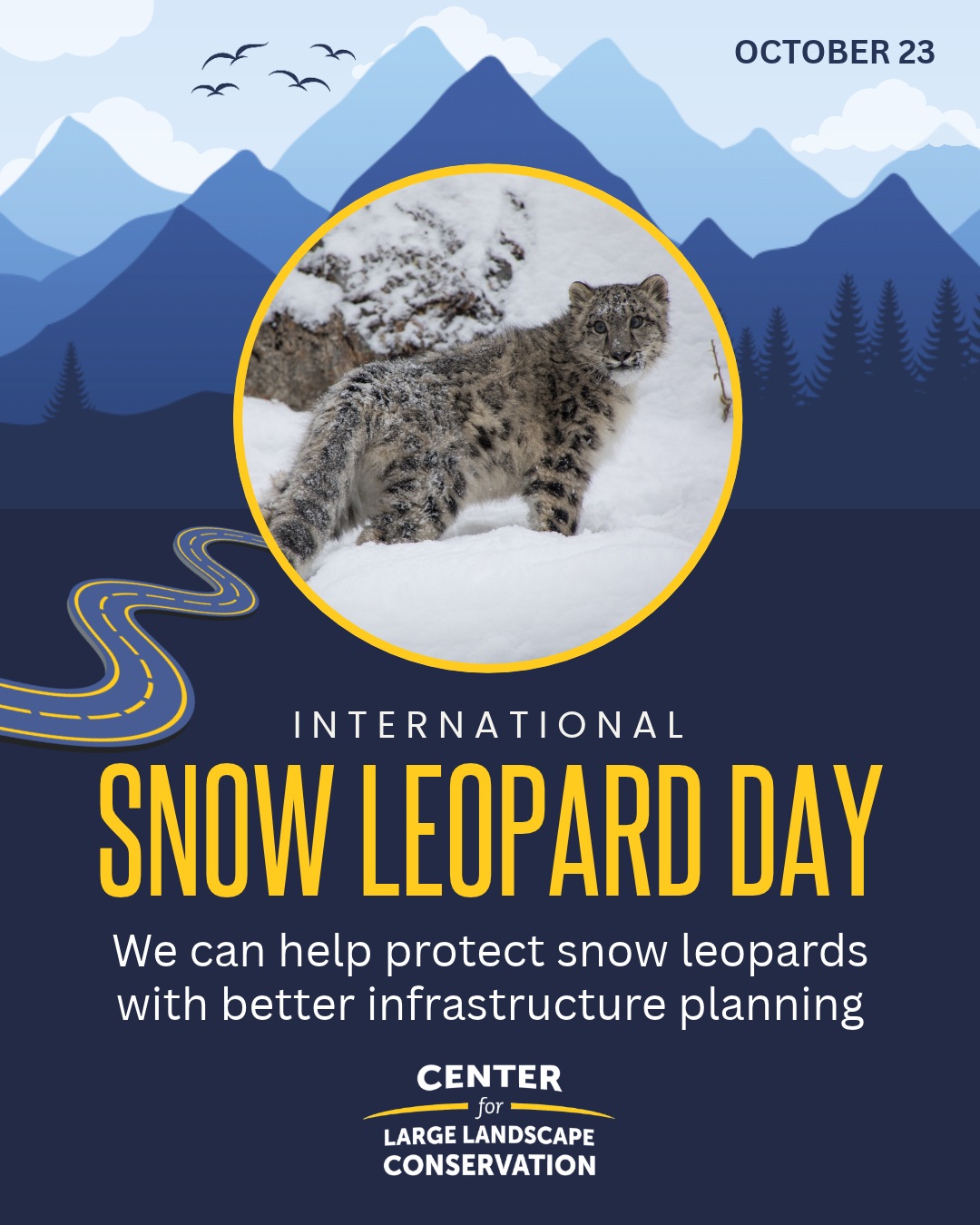 Snow leopards roam the high mountains of South and Central Asia, but expanding roads, railways, and power lines increasingly inhibit their movement and threaten the habitat they depend on.  To help protect these elusive big cats and their fragile ecosystems, the Global Snow Leopard and Ecosystem Protection Program (GSLEP)—an alliance of 12 snow leopard range countries—formed a working group led by the Snow Leopard Trust, WWF, and the Center for Large Landscape Conservation.  Together, we developed Guiding the Future of Linear Infrastructure Development in Snow Leopard Landscapes, a resource to help governments and infrastructure decision-makers avoid and reduce the impacts of development projects with better planning and implementation.  With thoughtful planning, communities can be connected while still protecting snow leopards, their prey, and their habitat.  For more information, see link in bio.  @world_wildlife @snowleopardtrust  #InternationalSnowLeopardDay #snowleopards #wildlifecrossings #roadecology