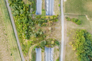 Aerial View Of Wildlife Overpass Over Highway In Switzerland During Sunset