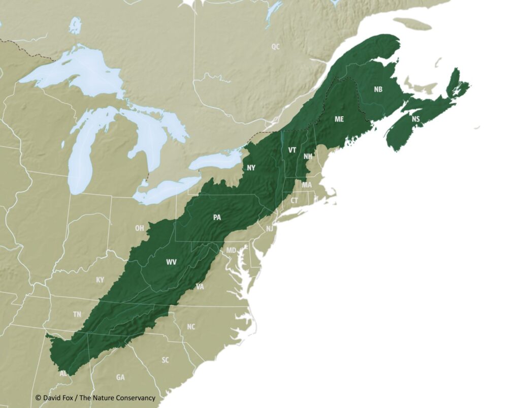 Appalachian Map - Credit: David Web, The Nature Conservancy