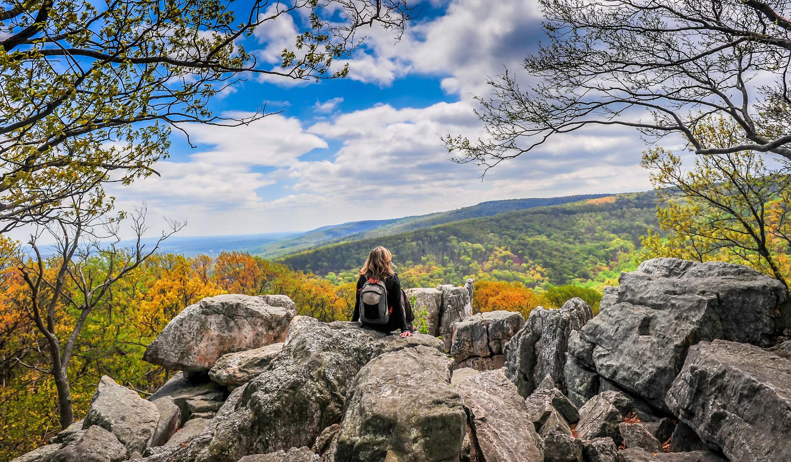 The Appalachian Mountains: A Biodiversity Superhighway