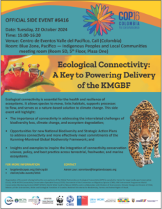 CBDCOP16 Connectivity Side Event Flyer