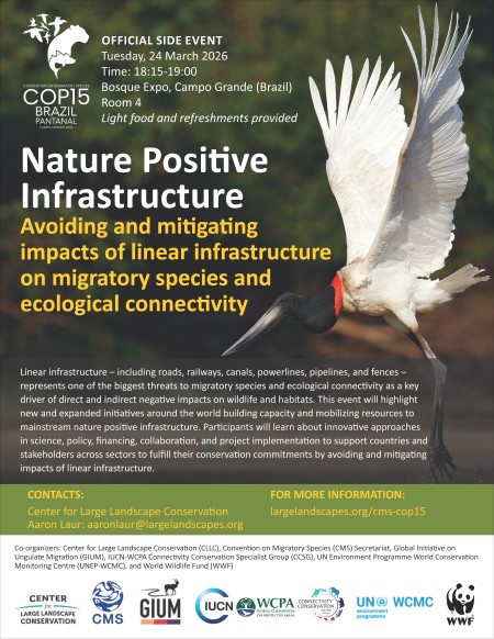 CMS COP15 2026 side event flyer 