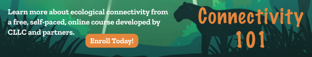 Connectivity 101 free online course