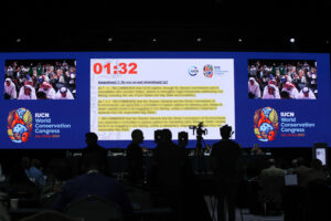 WCC, October 2025 - Debate and voting on motions at the Members' Assembly. Photo by ENB/IISD | Anastasia Rodopoulou