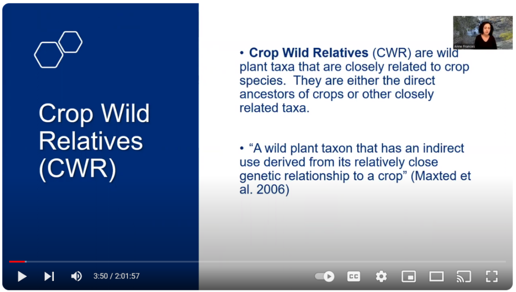 Fireshot Capture 271 Crop Wild Relatives In Biosphere Regions Youtube Www.youtube.com (1)
