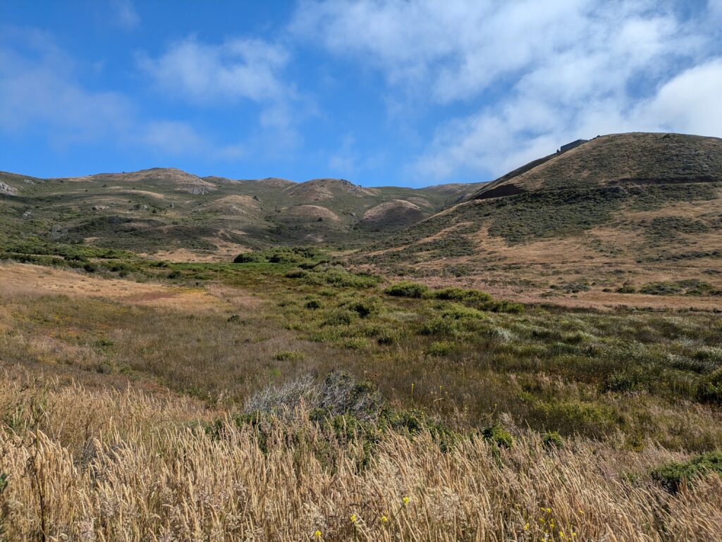 Fort Cronkhite Wetland Remediation