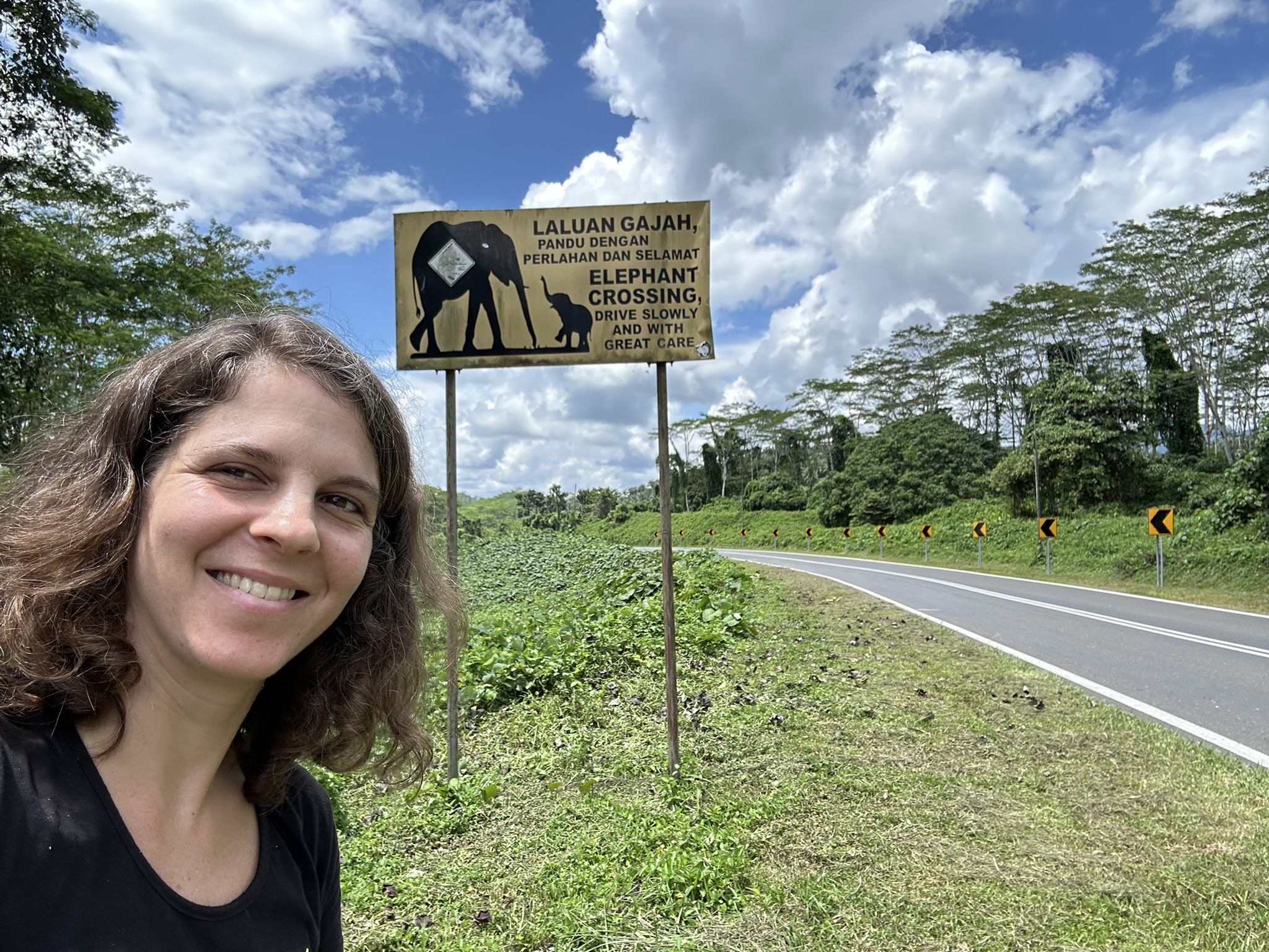 CLLC’s Linear Infrastructure Ecology Advisor Fernanda Teixeira at an elephant road sign in Sabah, Malaysia. Photo courtesy of Fernanda Teixeira