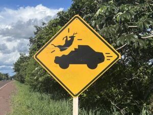 Wildlife warning road sign