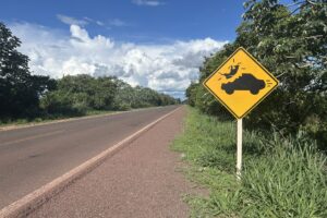 Wildlife warning sign, Brazil 262. CLLC photo