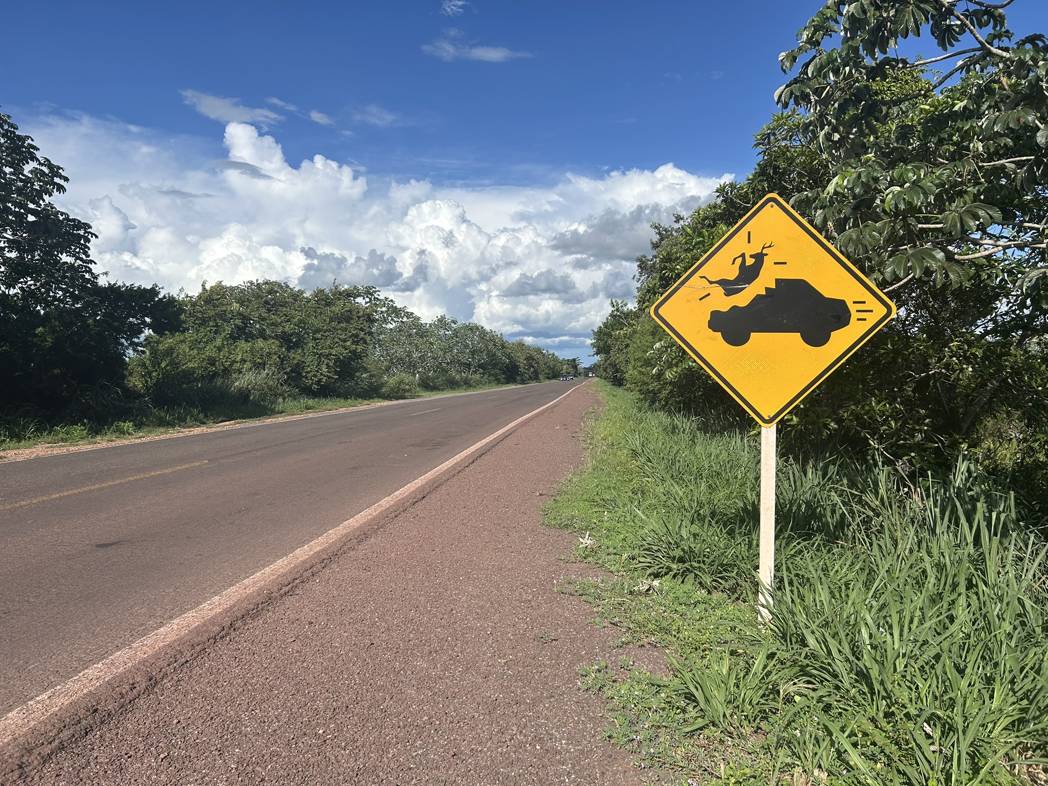 Report from the Field: A Road Trip of Wonder and Horror Along a ...