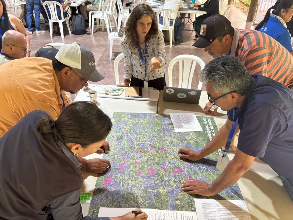 In the Guatemala national workshop, CLLC's Fernanda Teixeira facilitates mapping of land management priority actions in the newly mapped corridors. Credit: CLLC/Gabriel Oppler