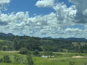 Brazil landscape - Cerrado/Pantanal area