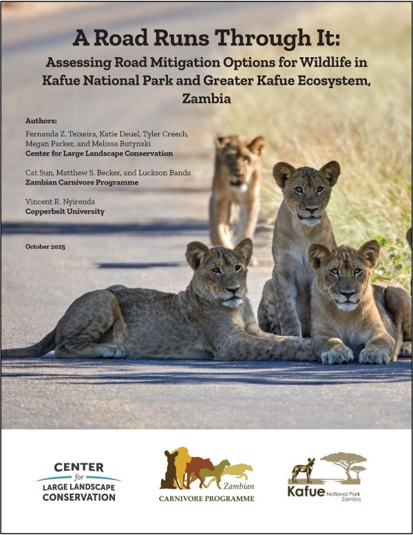 Kafue Report Cover With Line