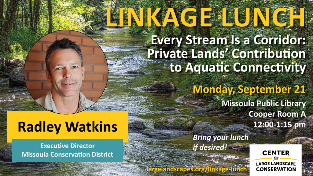 Linkage Lunch September 2026