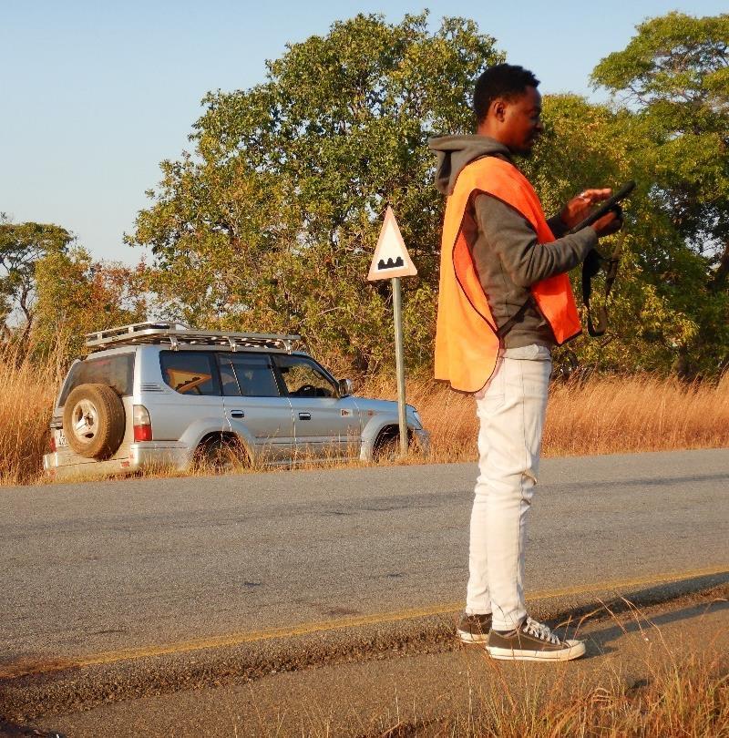 Luckson Banda of ZCP collecting roadkill data on the M9 - Credit: Zambian Carnivore Program