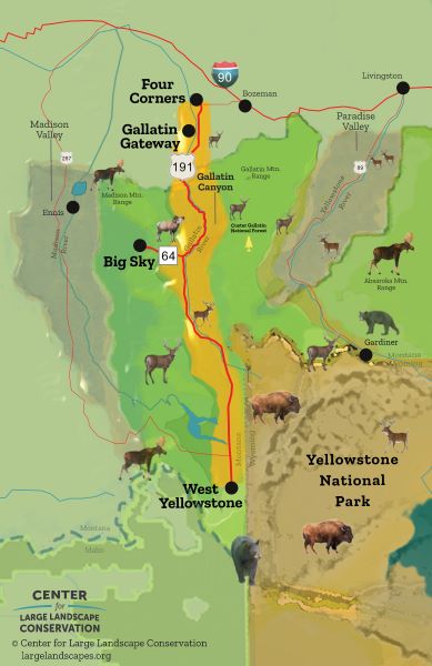 US-191 / MT-64 Wildlife & Transportation Assessment - Center for Large ...