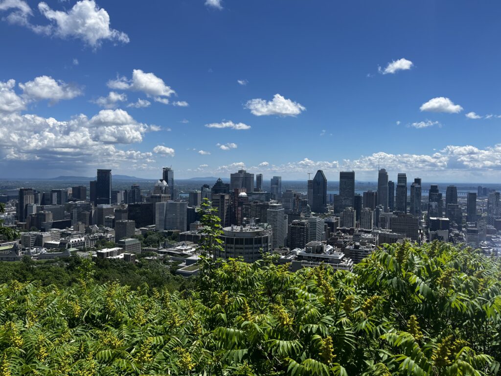 Montreal From Mont Royal (g Oppler)