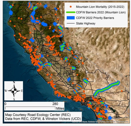 Mountain Lion Mortality Map
