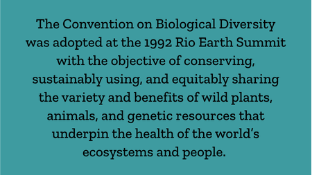 The Convention On Biological Diversity