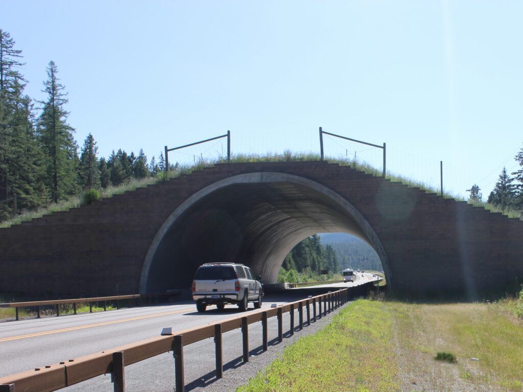 US-93 Overpass, Montana - CLLC/Gabe Oppler