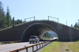 US-93 Overpass, Montana - CLLC/Gabe Oppler