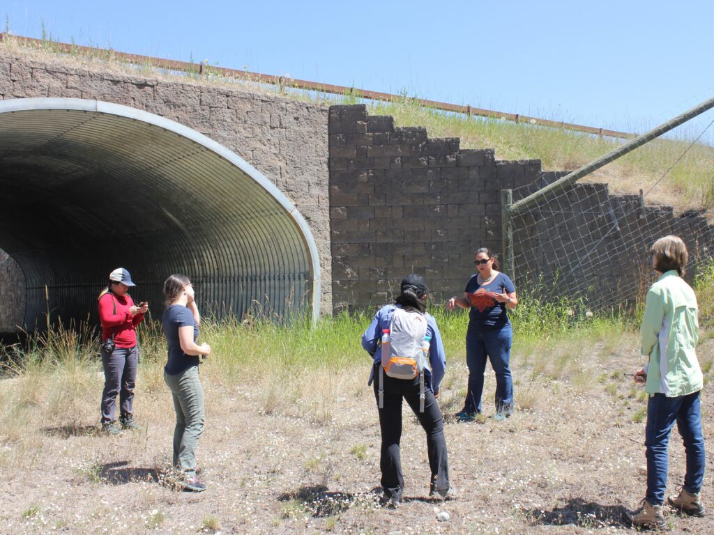 US 93 Underpass - CLLC/Gabe Oppler