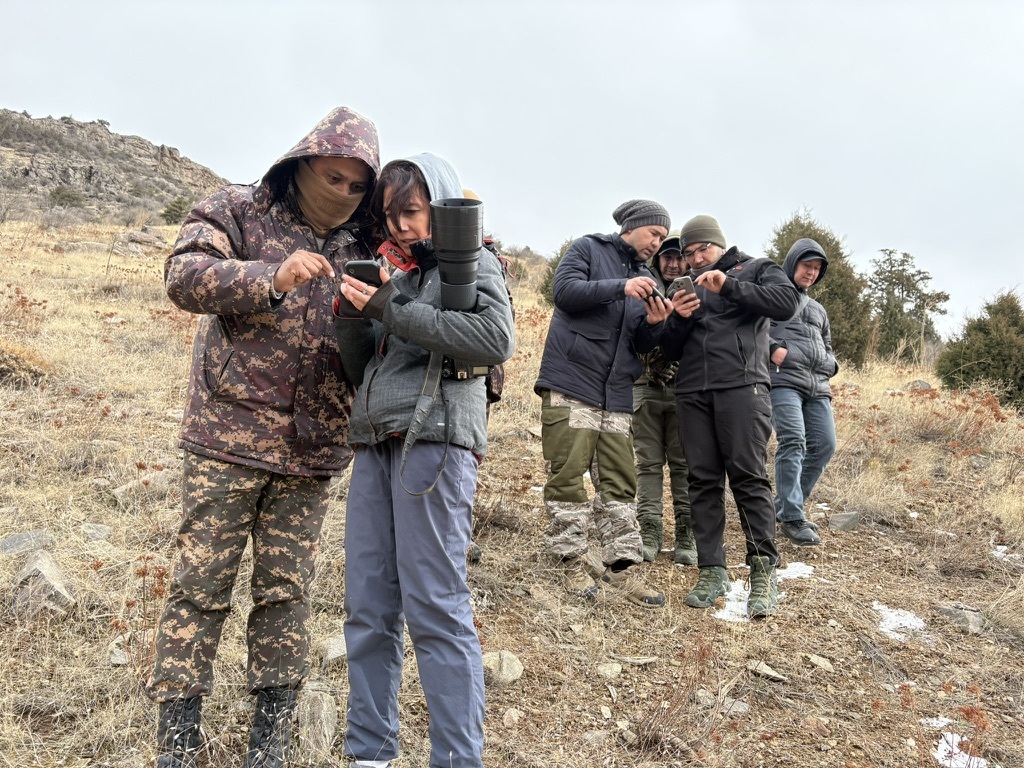 Reserve rangers and collaborators from the Turkmenistan and Uzbekistan environmental ministries and the Uzbekistan Academy of Sciences discuss data entry using the SMART system - CLLC/Gabe Oppler