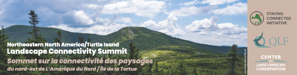 Bilingual Summit Header